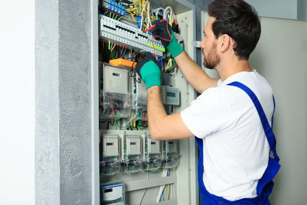 Best Electric Panel Repair  in Mayo, FL